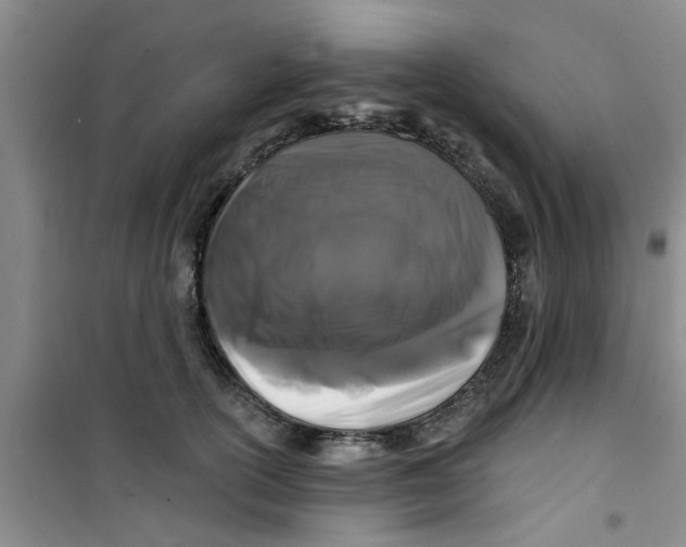 X0000100970754200807221209