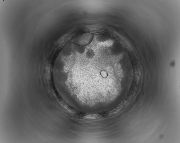 X0000100970757200807221209