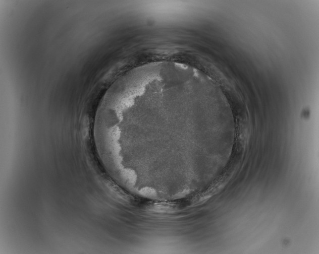 X0000100970758200807221209