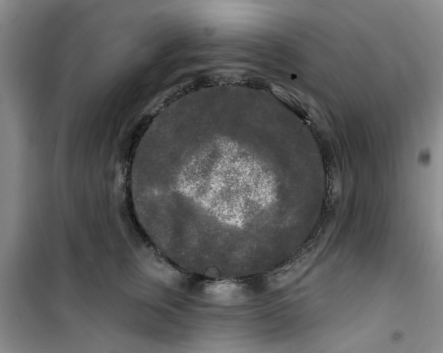 X0000100970759200807221209