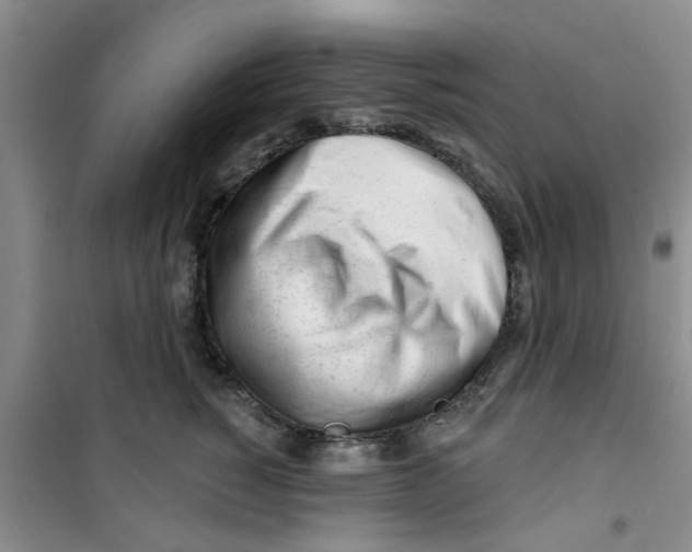 X0000100970760200807221209