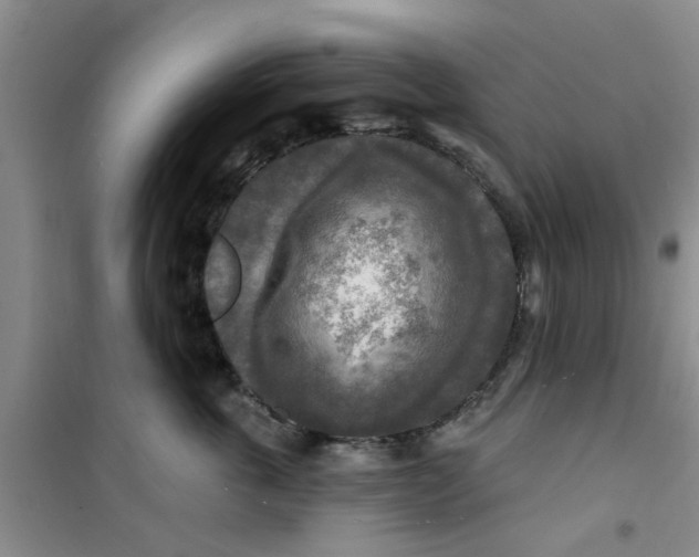 X0000100970763200807221209