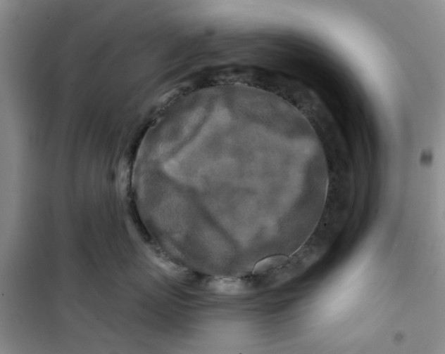 X0000100970767200807221209