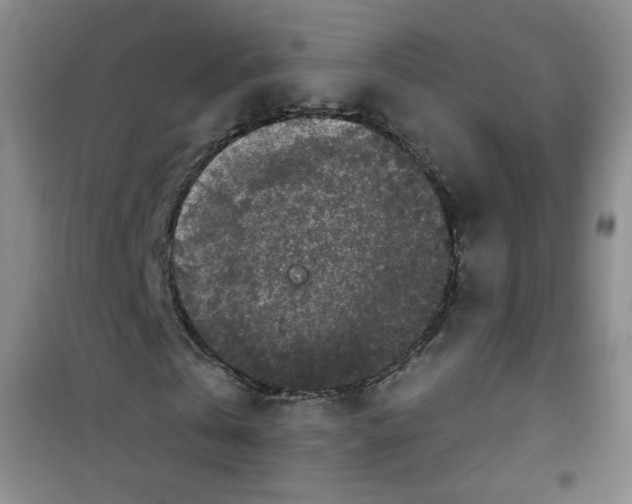 X0000100970769200807221209