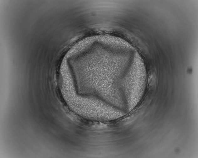 X0000100970772200807221209