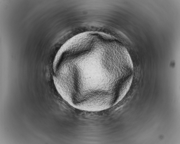 X0000100970774200807221209