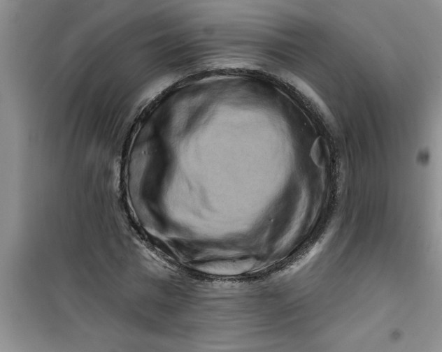 X0000100970777200807221208
