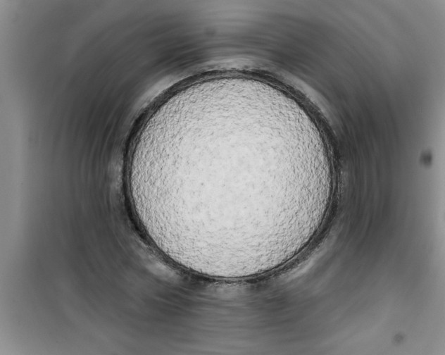 X0000100970778200807221208