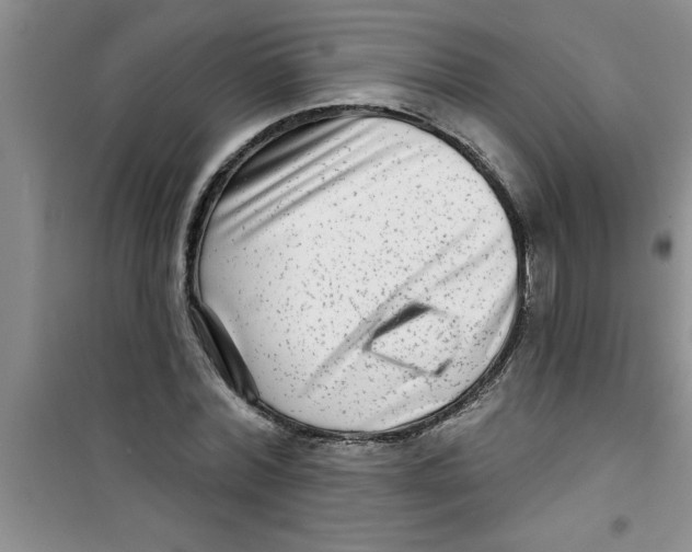 X0000100970780200807221208