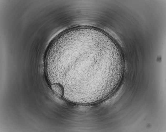 X0000100970782200807221208