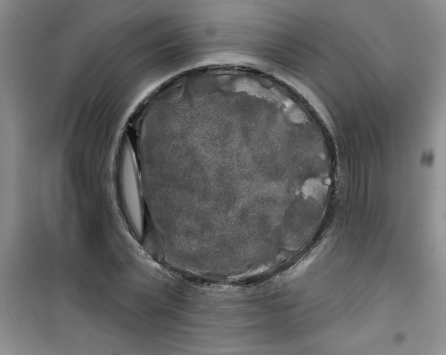 X0000100970783200807221208