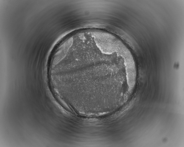 X0000100970784200807221208