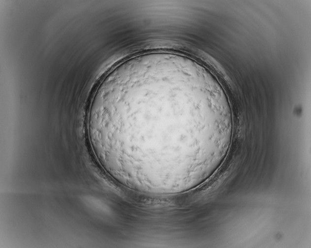 X0000100970786200807221208