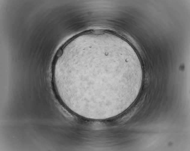 X0000100970787200807221208