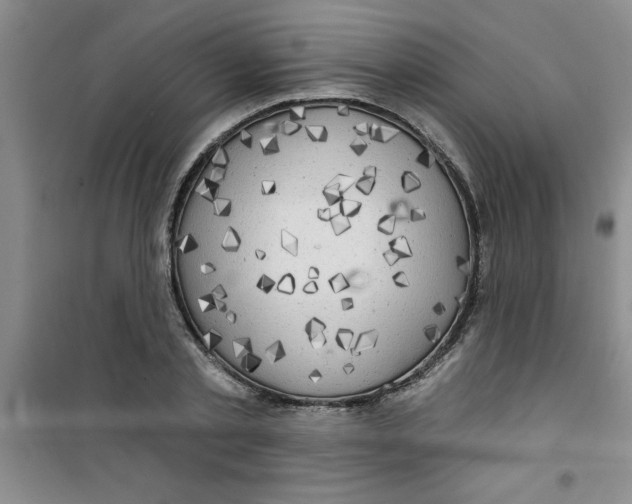 X0000100970789200807221208