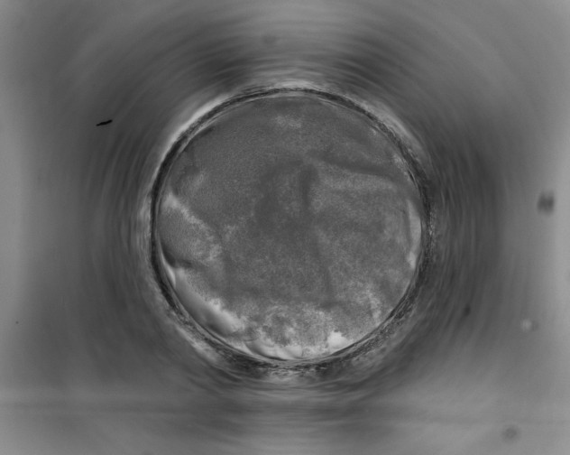X0000100970790200807221208