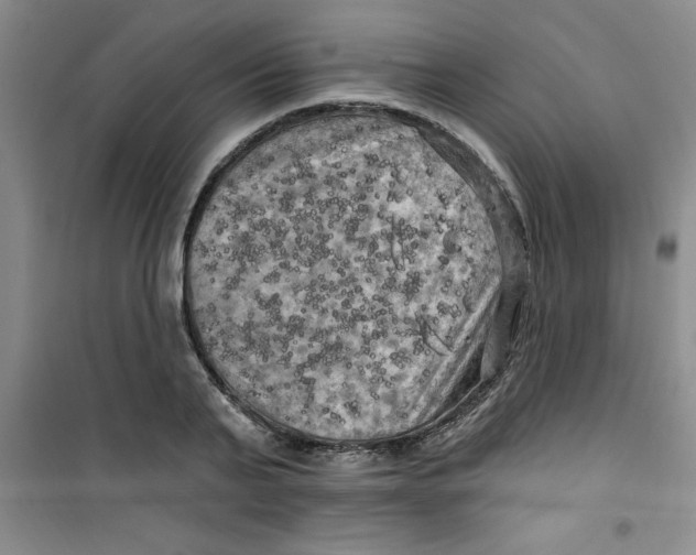 X0000100970791200807221208