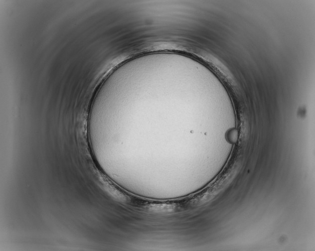 X0000100970793200807221208