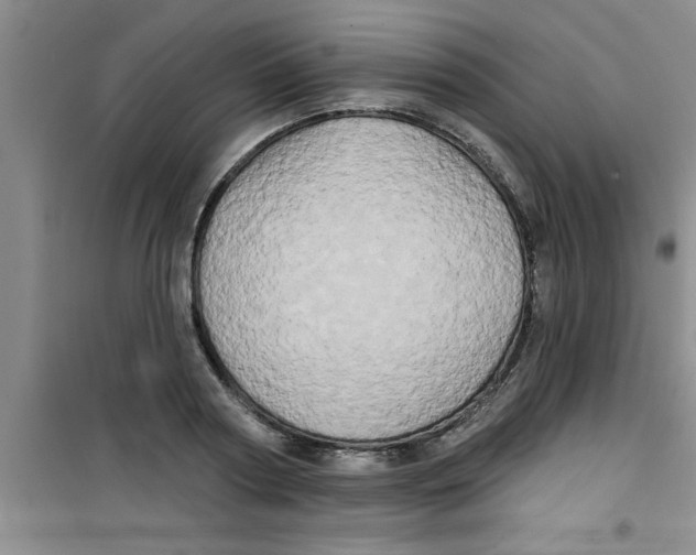 X0000100970794200807221208