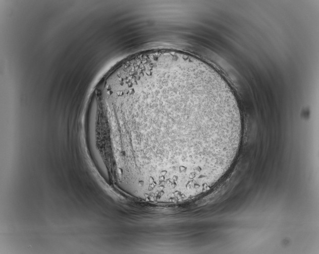 X0000100970796200807221208