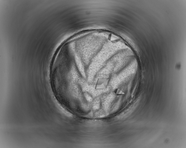 X0000100970797200807221208