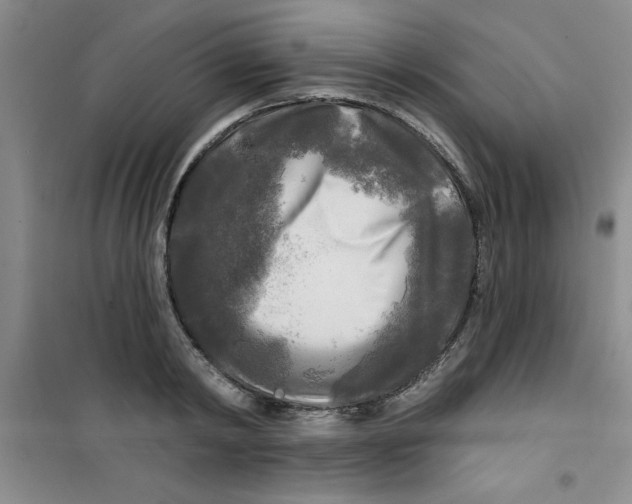 X0000100970798200807221208