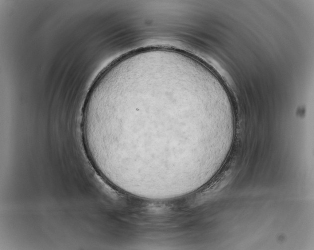 X0000100970799200807221208