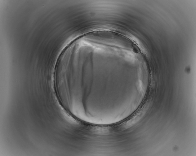 X0000100970802200807221208
