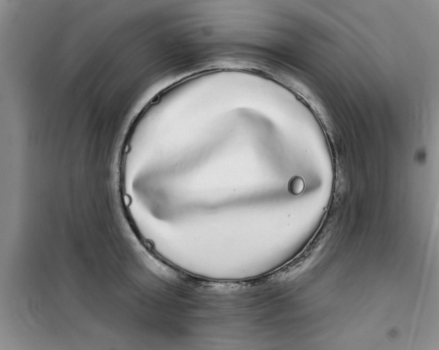 X0000100970803200807221208