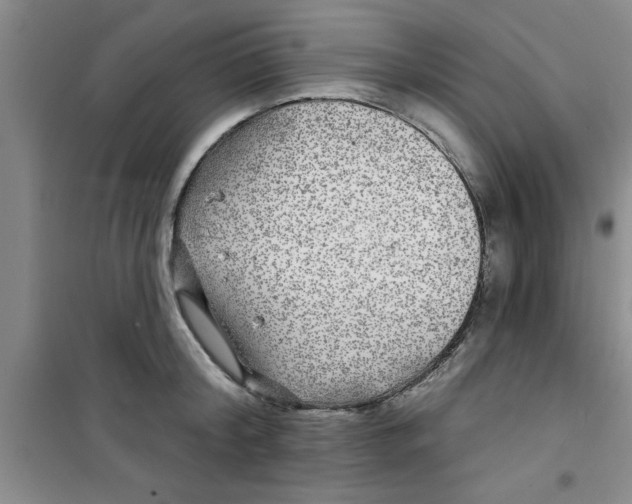 X0000100970804200807221208