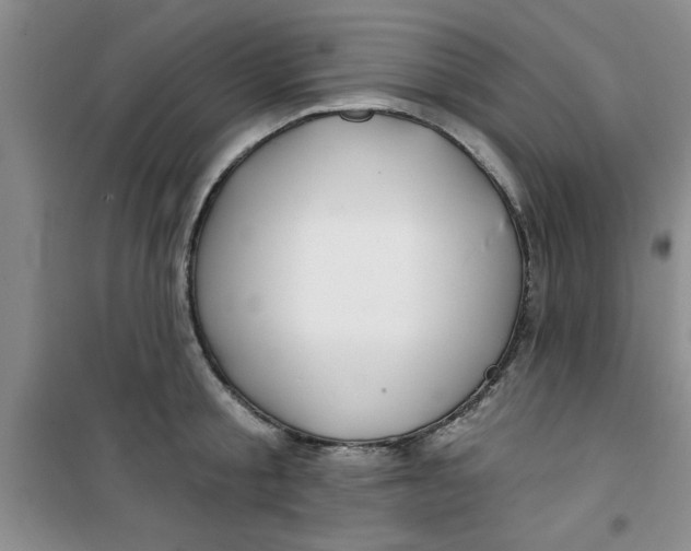 X0000100970805200807221208