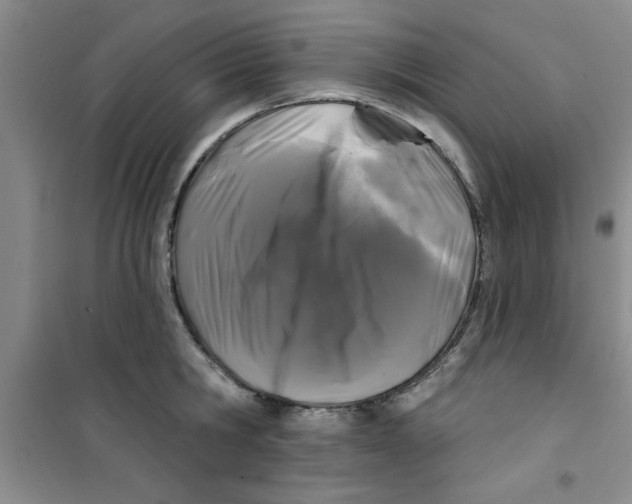 X0000100970806200807221208