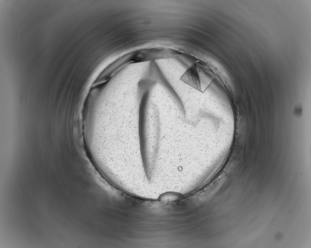 X0000100970808200807221208