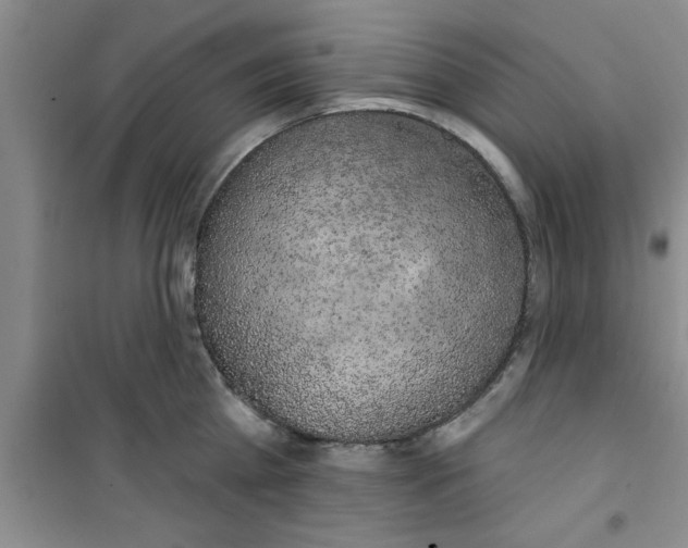 X0000100970809200807221208