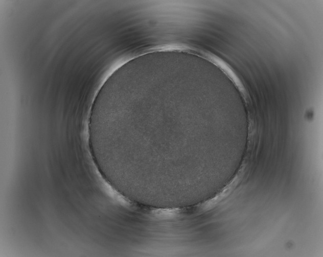 X0000100970810200807221208