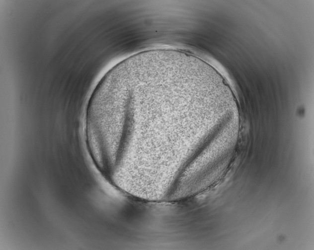 X0000100970811200807221208