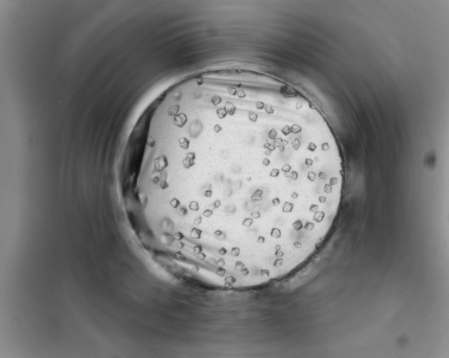 X0000100970812200807221208