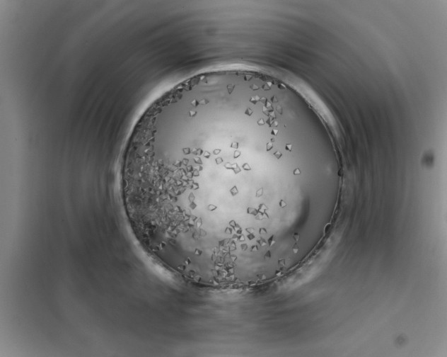 X0000100970813200807221208