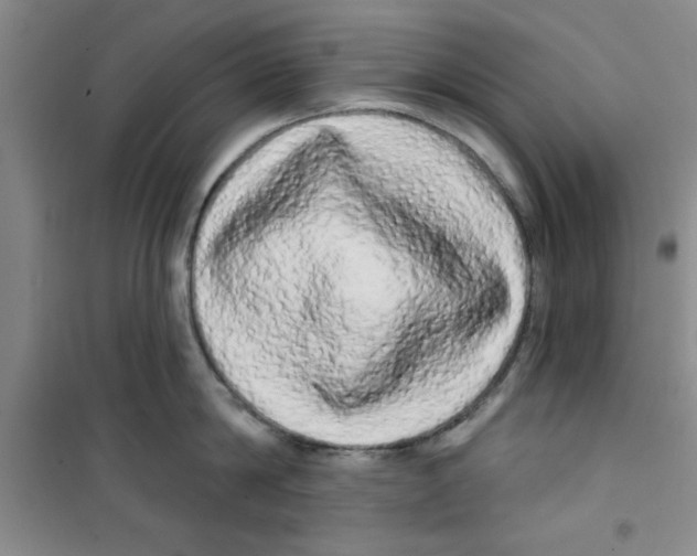 X0000100970814200807221208