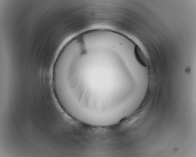 X0000100970815200807221208