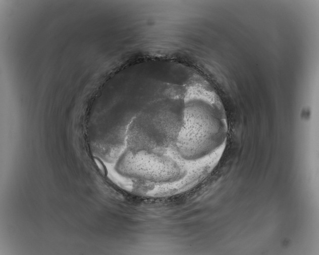 X0000100970817200807221207