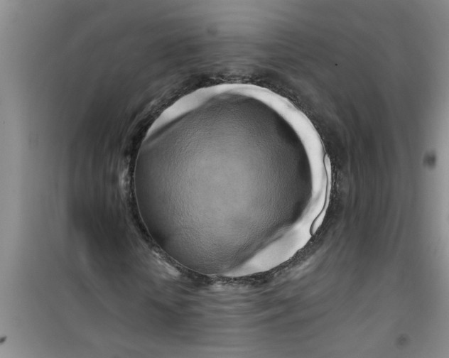 X0000100970818200807221207