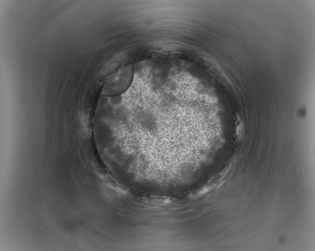 X0000100970819200807221207