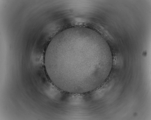 X0000100970820200807221207