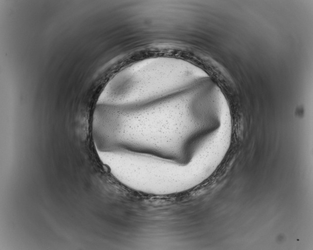 X0000100970821200807221207