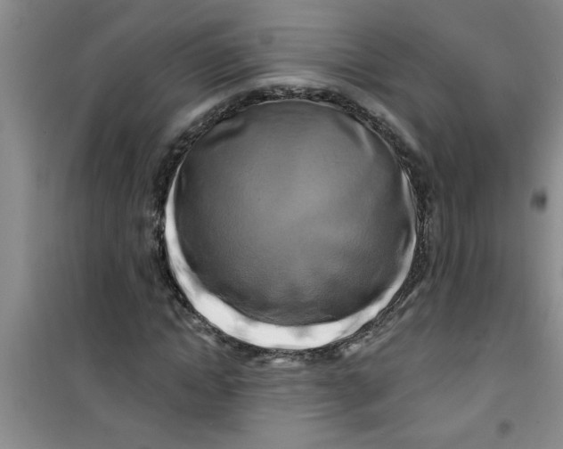 X0000100970822200807221207