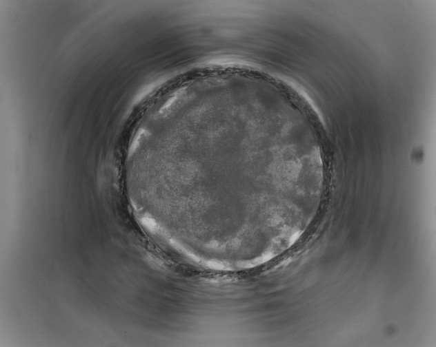 X0000100970823200807221207