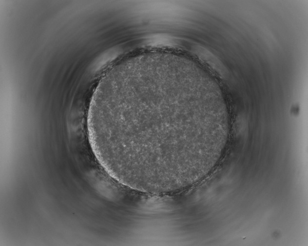 X0000100970824200807221207