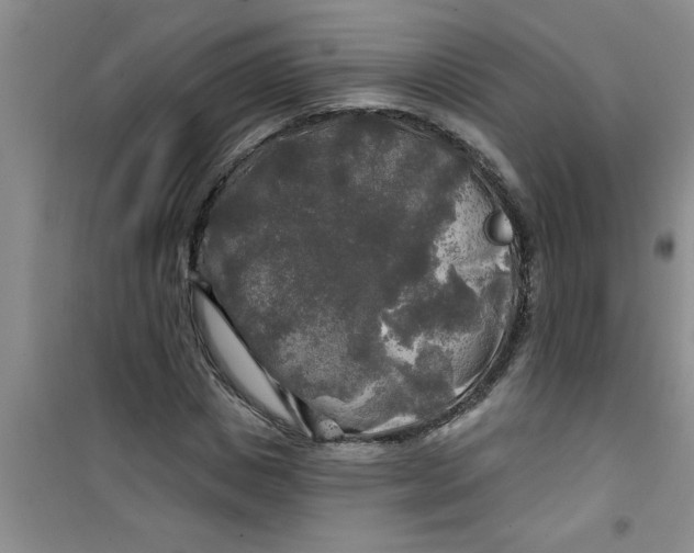 X0000100970825200807221207
