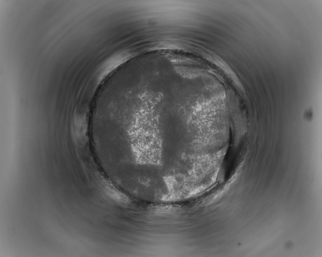 X0000100970826200807221207